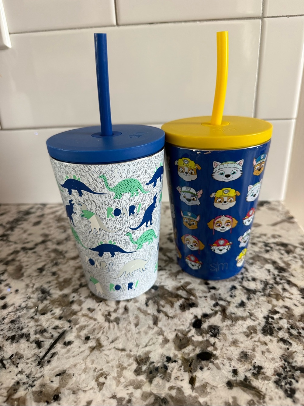 Set of 2 12oz Simple Modern Steel Walled Tumblers